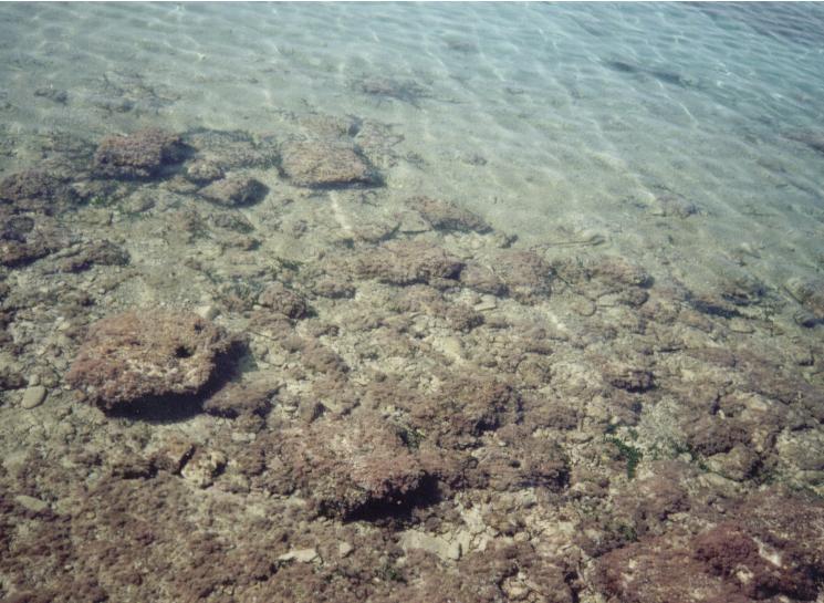 Chania Wasserwelt